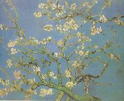 Blossoming Almond Tree (nn04)